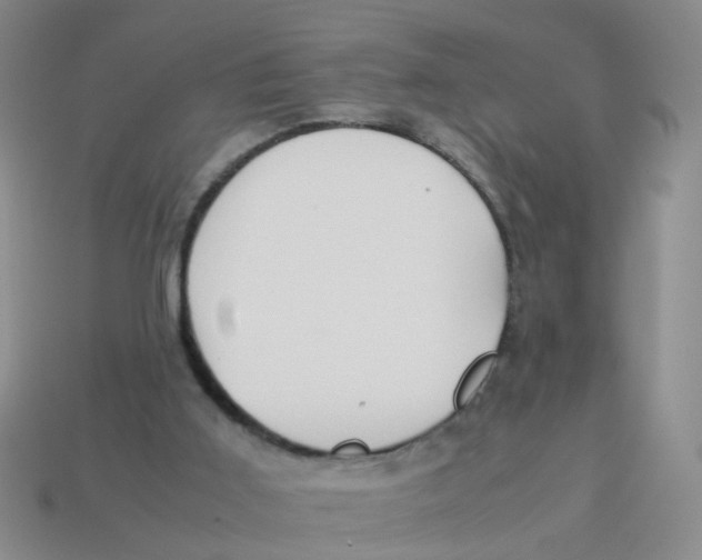 X0000113560011200910161506