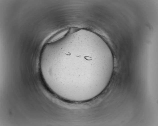 X0000113560012200910161506