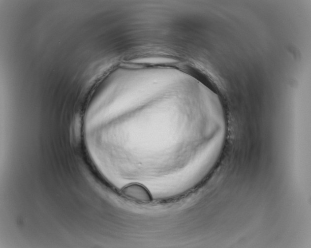 X0000113560014200910161506