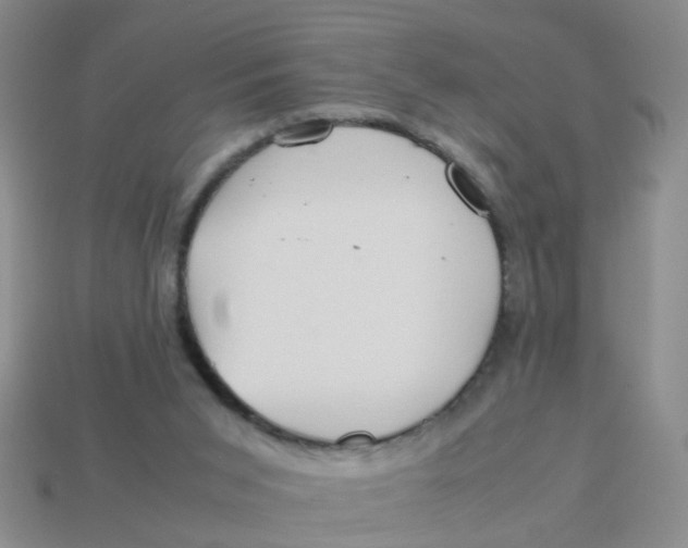 X0000113560015200910161506