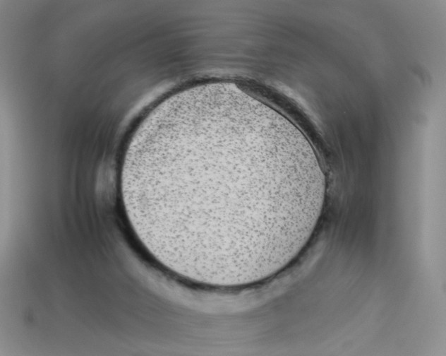 X0000113560016200910161506