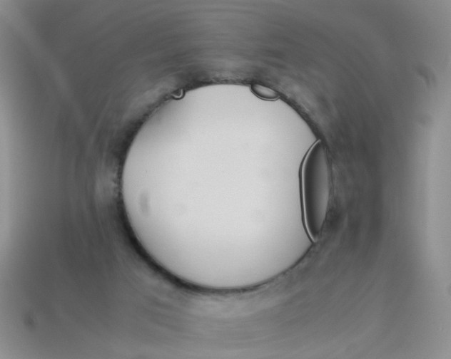 X0000113560017200910161506