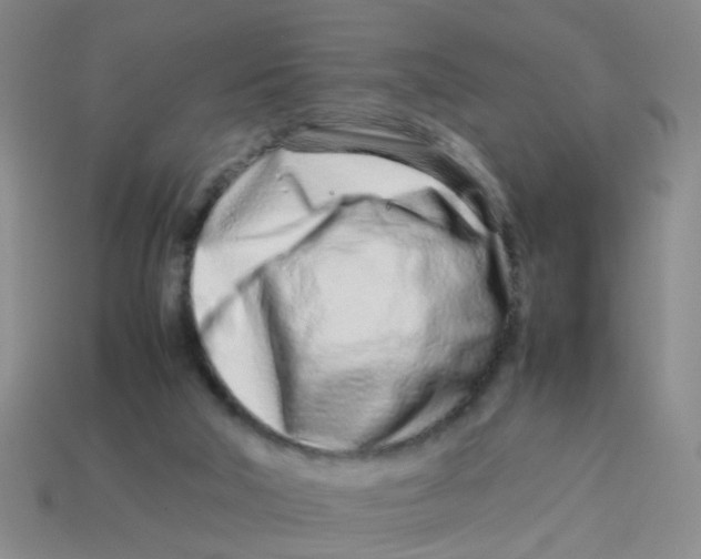 X0000113560018200910161506