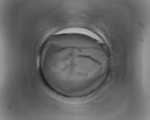 X0000113560019200910161506