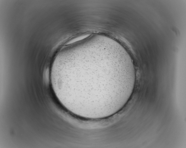 X0000113560020200910161506