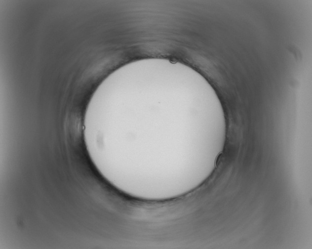 X0000113560021200910161506