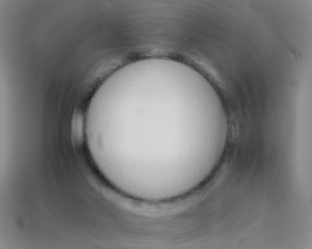 X0000113560022200910161506