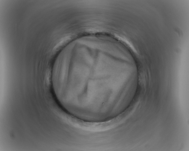 X0000113560023200910161506