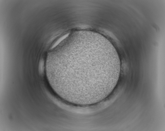 X0000113560024200910161506