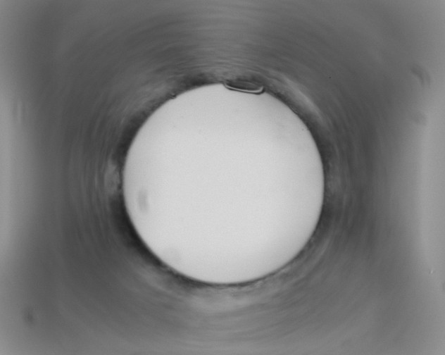 X0000113560025200910161506