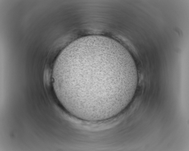 X0000113560026200910161506