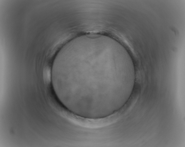 X0000113560027200910161506
