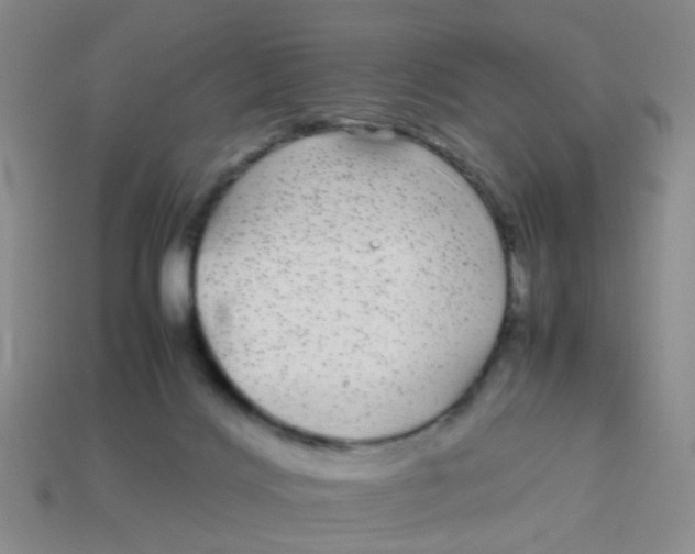 X0000113560028200910161506