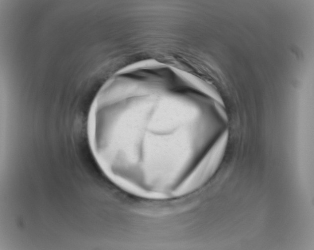 X0000113560029200910161506