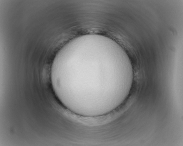 X0000113560030200910161506