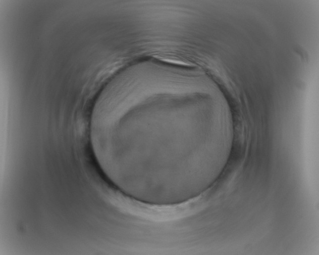 X0000113560031200910161506