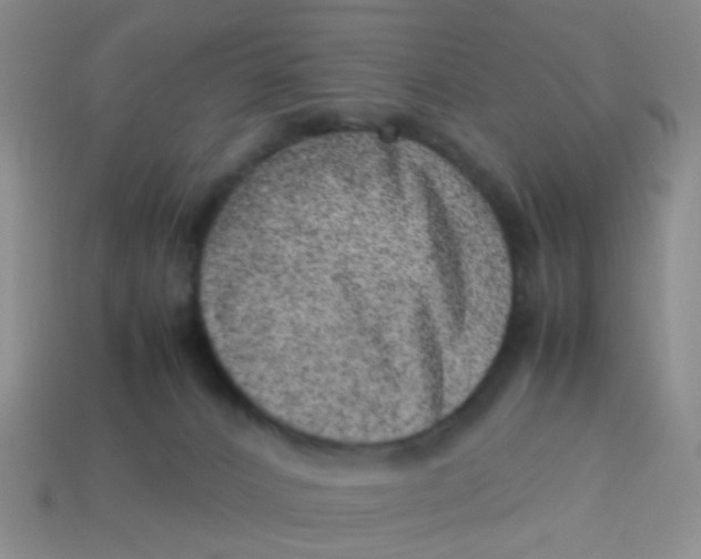 X0000113560032200910161506