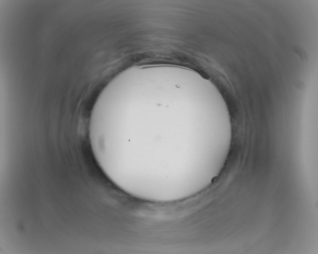 X0000113560033200910161506