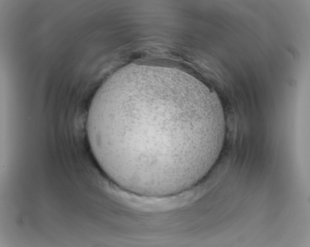 X0000113560034200910161506