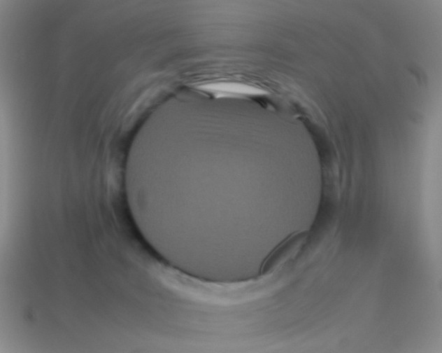 X0000113560035200910161506