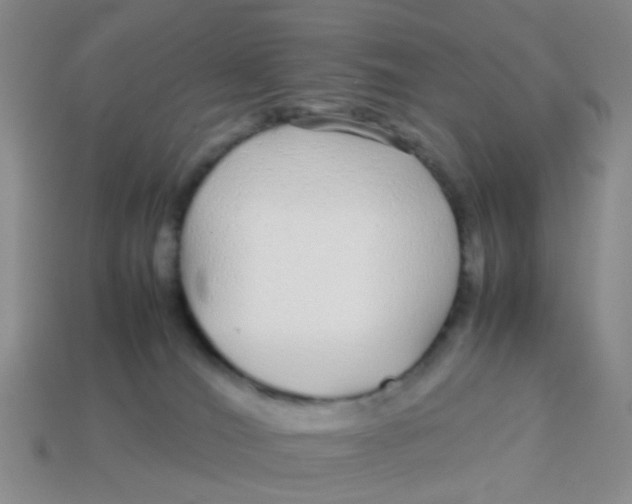 X0000113560036200910161506