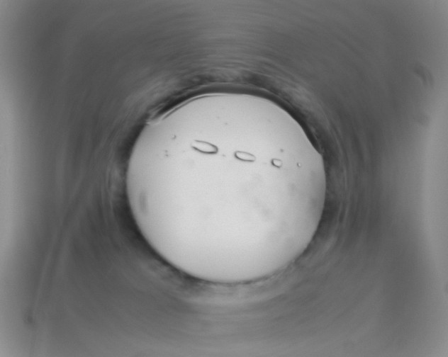 X0000113560037200910161506