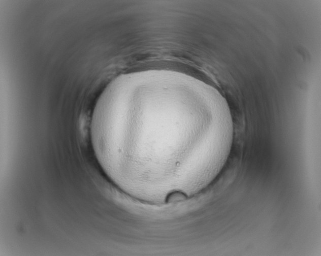 X0000113560038200910161506