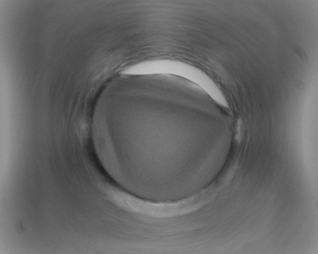 X0000113560039200910161506