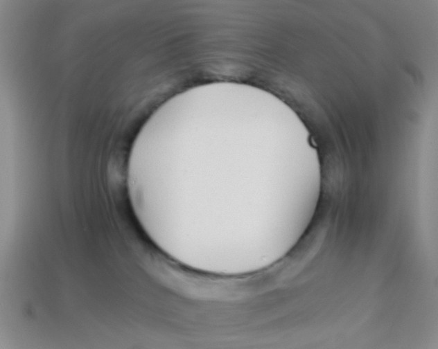 X0000113560040200910161506