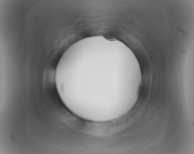 X0000113560041200910161506