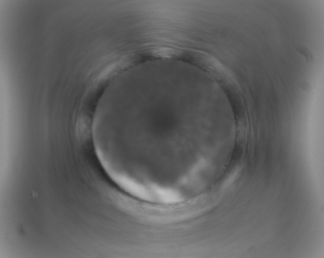 X0000113560043200910161506
