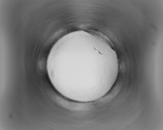 X0000113560044200910161506