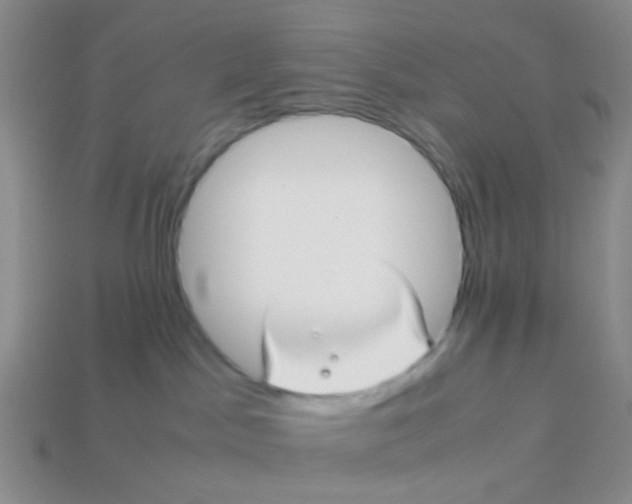 X0000113560045200910161506