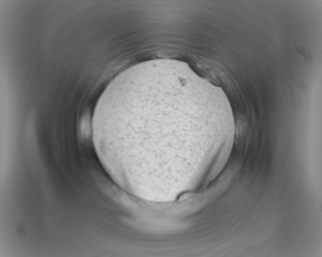 X0000113560046200910161505