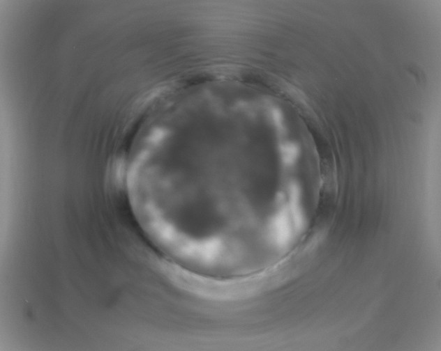 X0000113560047200910161505