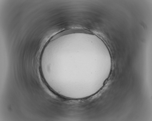 X0000113560049200910161505