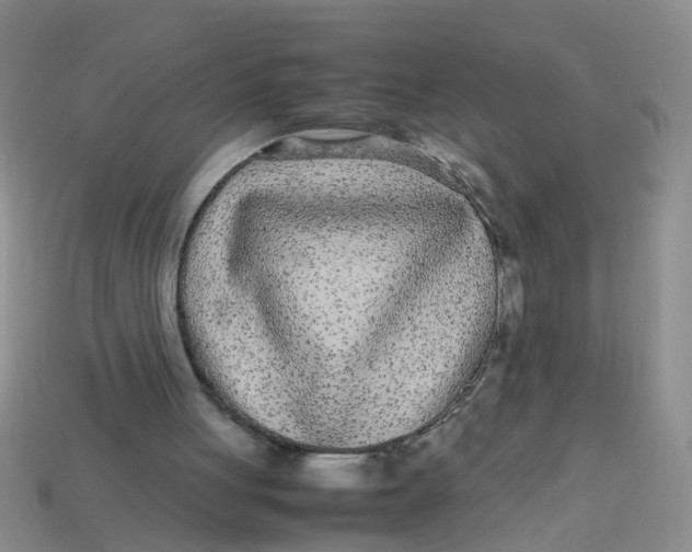X0000113560051200910161505