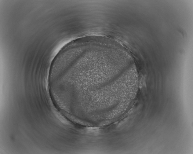 X0000113560052200910161505