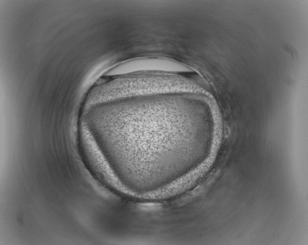 X0000113560053200910161505