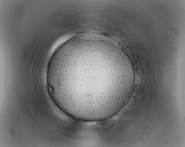 X0000113560054200910161505