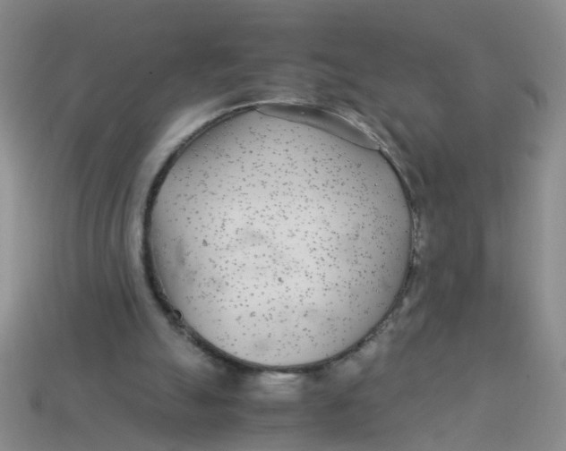 X0000113560055200910161505