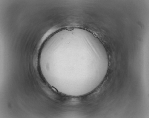 X0000113560056200910161505
