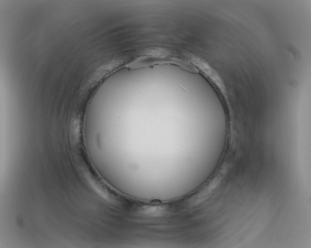 X0000113560057200910161505
