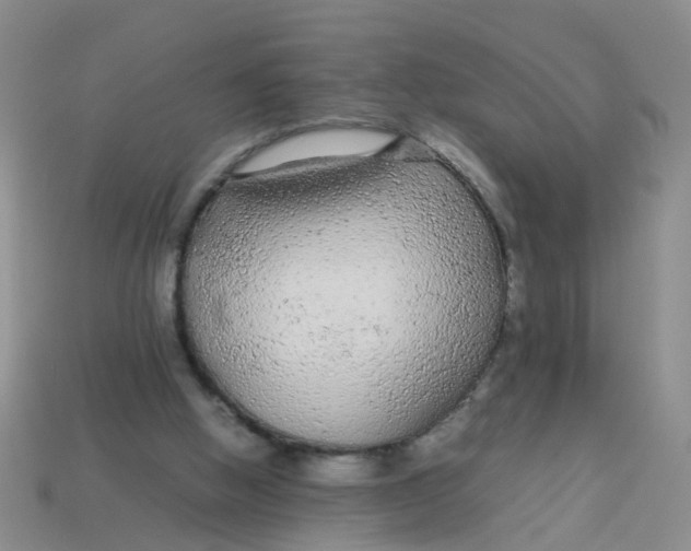X0000113560058200910161505