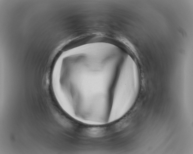 X0000113560059200910161505