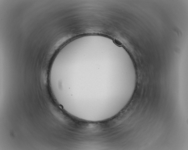 X0000113560060200910161505