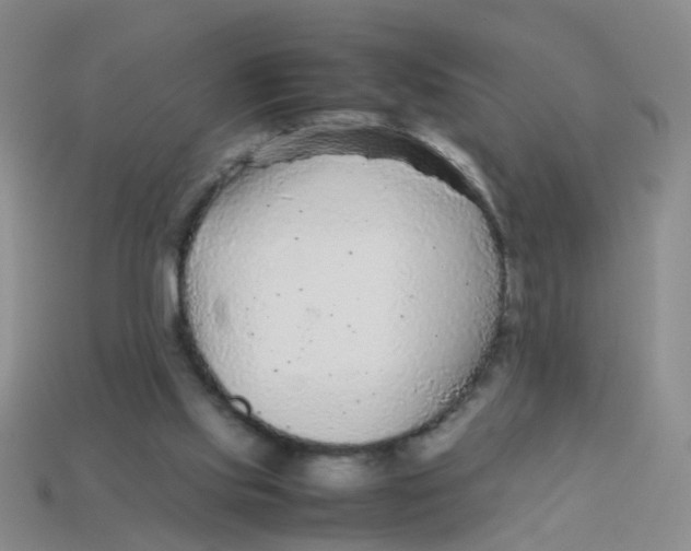 X0000113560061200910161505