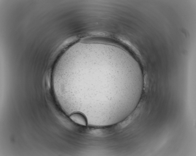 X0000113560062200910161505