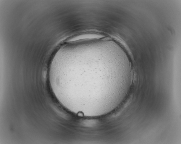 X0000113560063200910161505