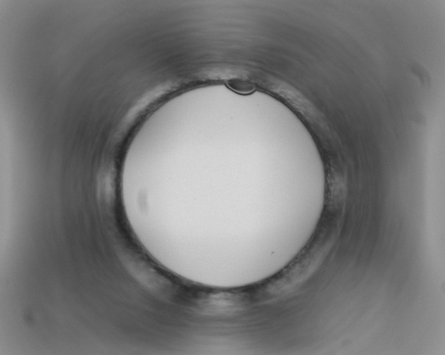 X0000113560064200910161505